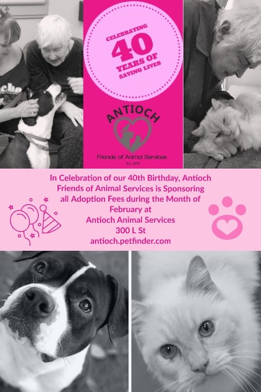 Antioch Animal Services - Antioch on the move