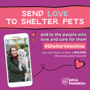 Shelter Valentine - Antioch Animal Service