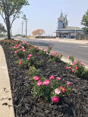 Antioch Public Works - Median After 1  - W 10th - L St to Auto Center