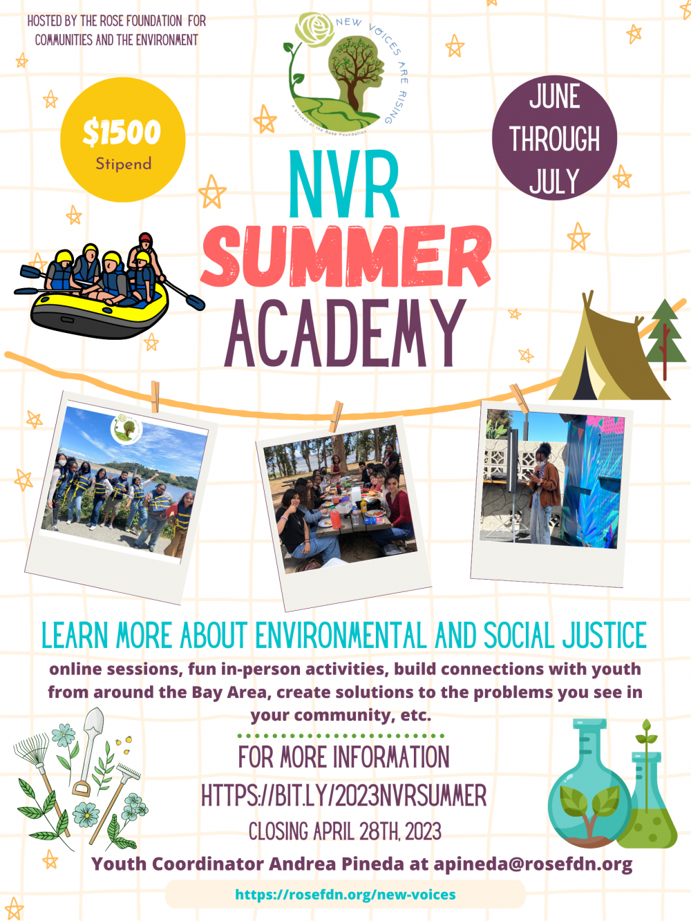 NVR Summer Flyer